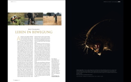 Screenshot 2017-12-28 21.42.25