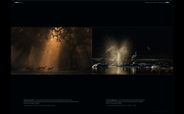 Screenshot 2017-12-28 21.43.10