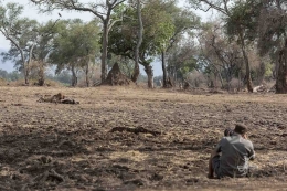 image taken by Lennart Hessel