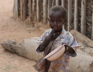 Read more about the article Kenia – Fortsetzung, Okt. 2009