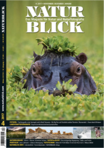 Read more about the article Featured in NATURBLICK