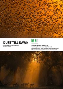 Read more about the article Dust Till Dawn: My First Exhibition