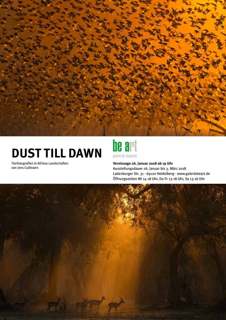 Read more about the article Dust Till Dawn: My First Exhibition