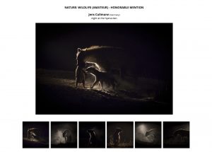 Read more about the article Three Honorable Mentions at International Photographer of the Year