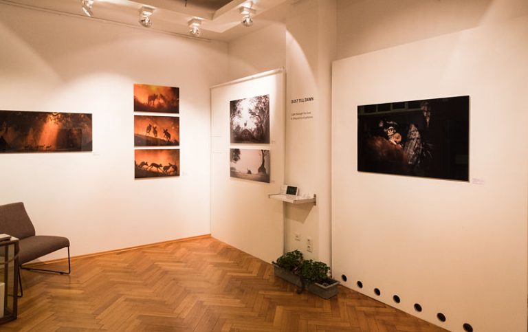 Read more about the article Dust Till Dawn Exhibition: Thank You