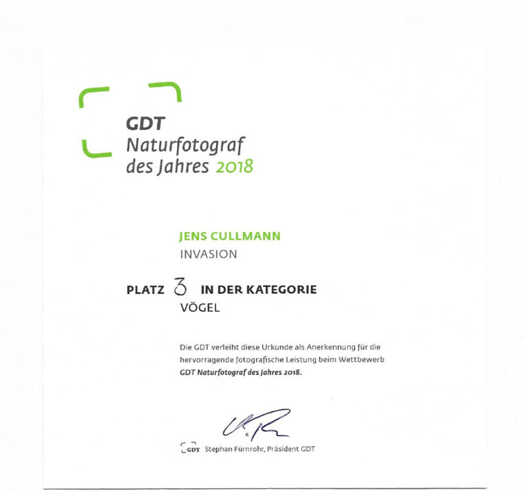 Read more about the article Third Place at GDT Nature Photographer of the Year 2018