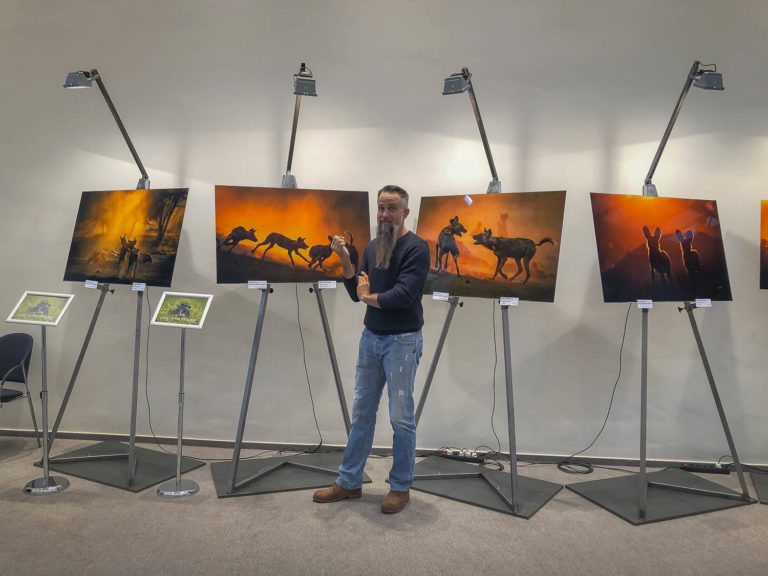 Read more about the article Freiburg and Lichtenstein, Feb. 2019