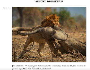 Read more about the article Photographer of the Year 2019: Second Runner-Up