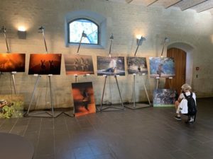 Read more about the article International Nature Photography Weekend in Fürstenfeldbruck
