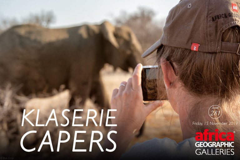 Photographer filming an elephant in Klaserie for Africa Geographic Galleries