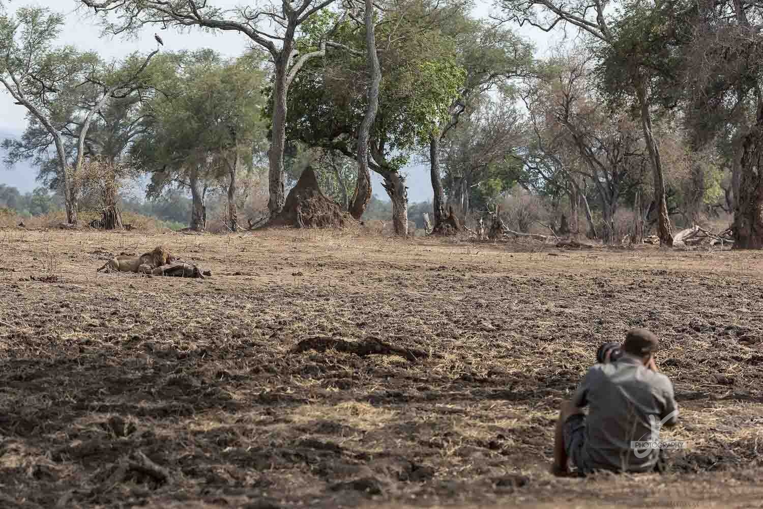 image taken by Lennart Hessel